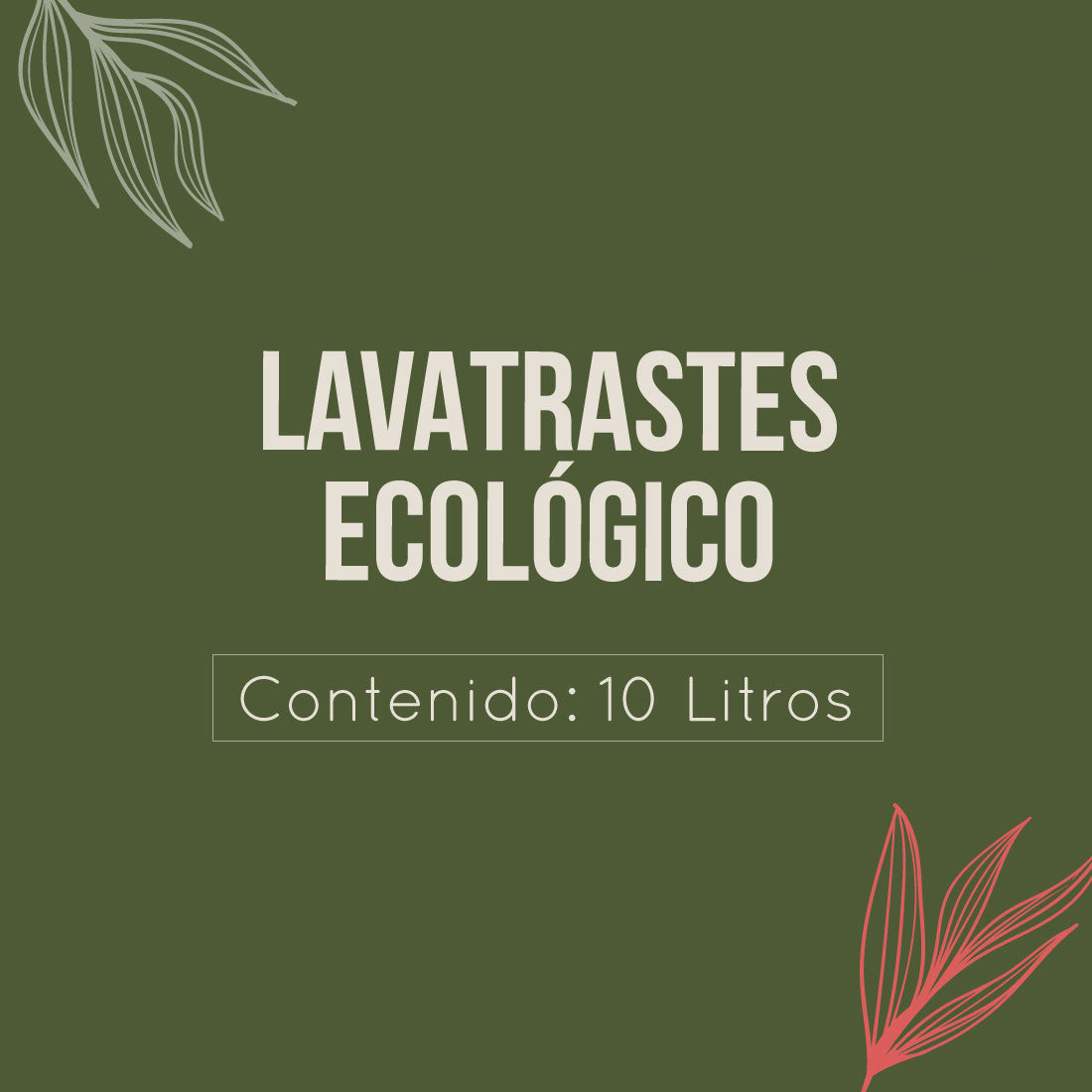 Lavatrastes Ecológico Antibacterial con Aloe Vera